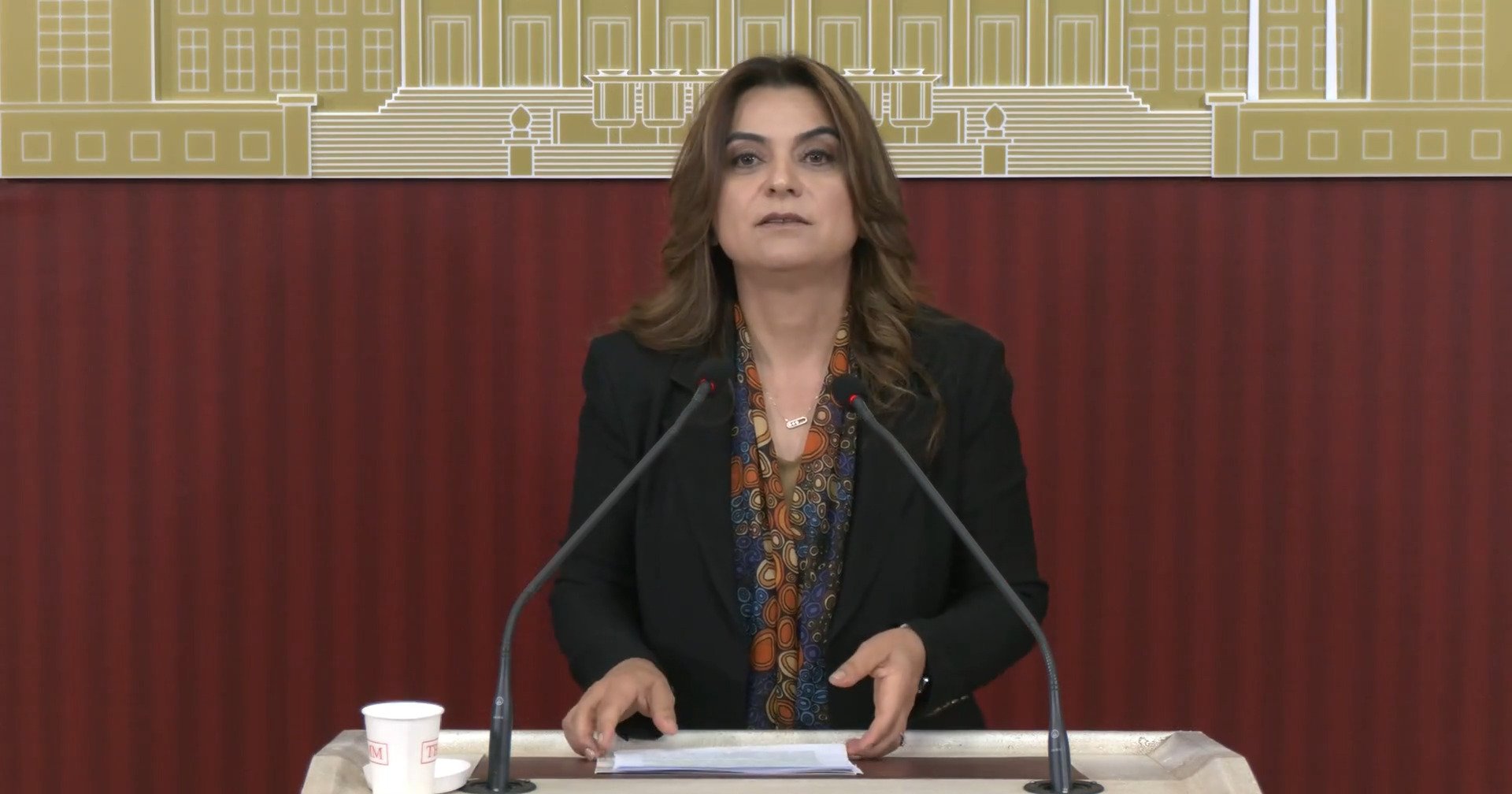 DEM Parti Grup Başkan Vekili