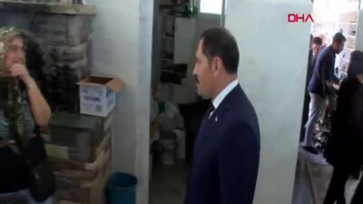 Hatay Valisi Mustafa Masatlı, Samandağ'da