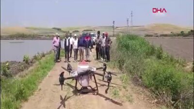 Edirne’de Tarımda Devrim: Dron ile Çeltik Ekimi Hızla Yaygınlaşıyor