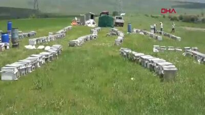 Bodrumlu gezgin arıcı Süleyman Ördek,