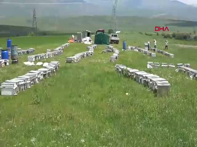 Bodrumlu gezgin arıcı Süleyman