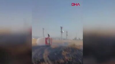 Şırnak Silopi'de buğday ekili arazide