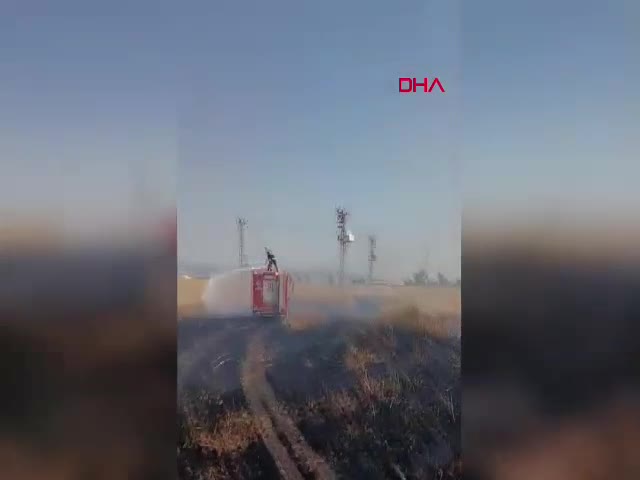 Şırnak Silopi'de buğday ekili