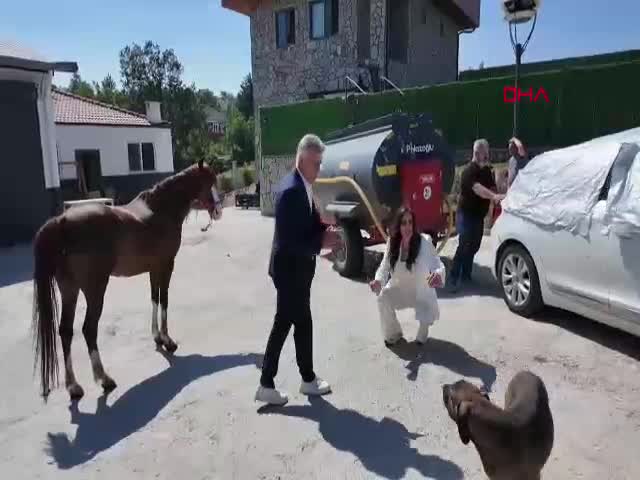 Oryantal Asena, sevgilisi Kani