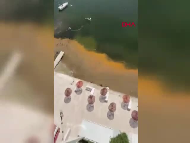 Doç. Dr. Efsun Dindar,
