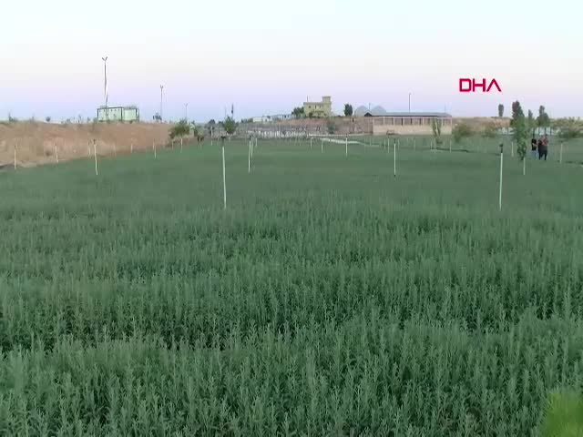 Mardin Valisi Tuncay Akkoyun,