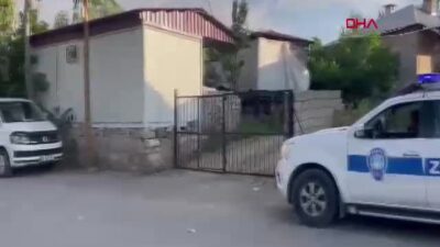Van Edremit'te ölen bir köpekte
