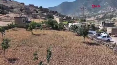 Batman Hasankeyf'te coğrafi işaretli Mehina
