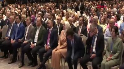 Cumhurbaşkanı Recep Tayyip Erdoğan, AK
