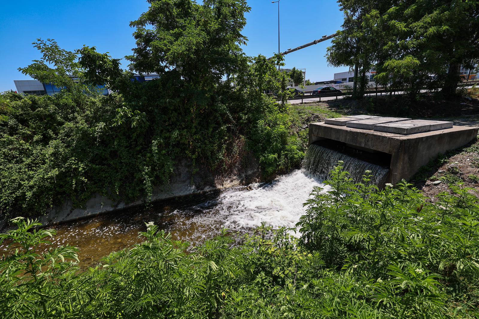 Sakarya Büyükşehir Belediyesi, Sapanca Gölü'nün