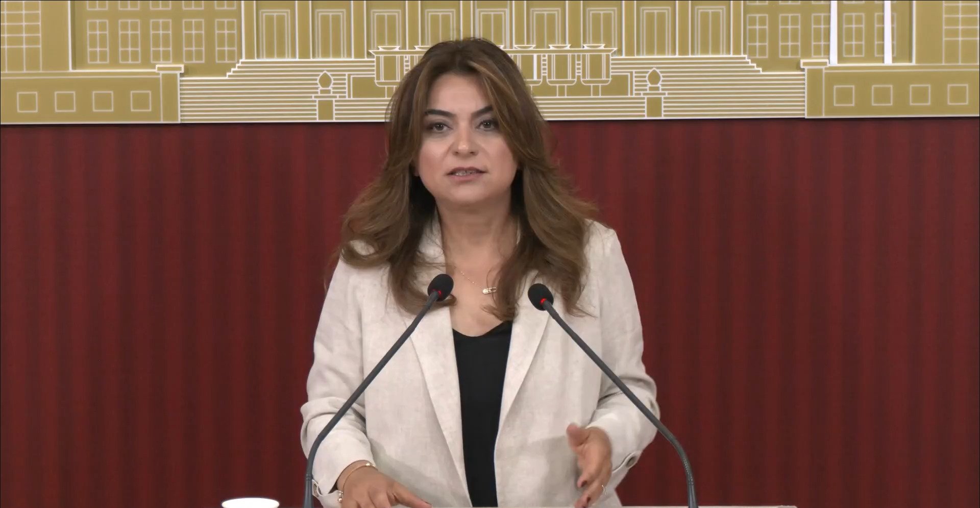 DEM Parti Grup Başkan Vekili