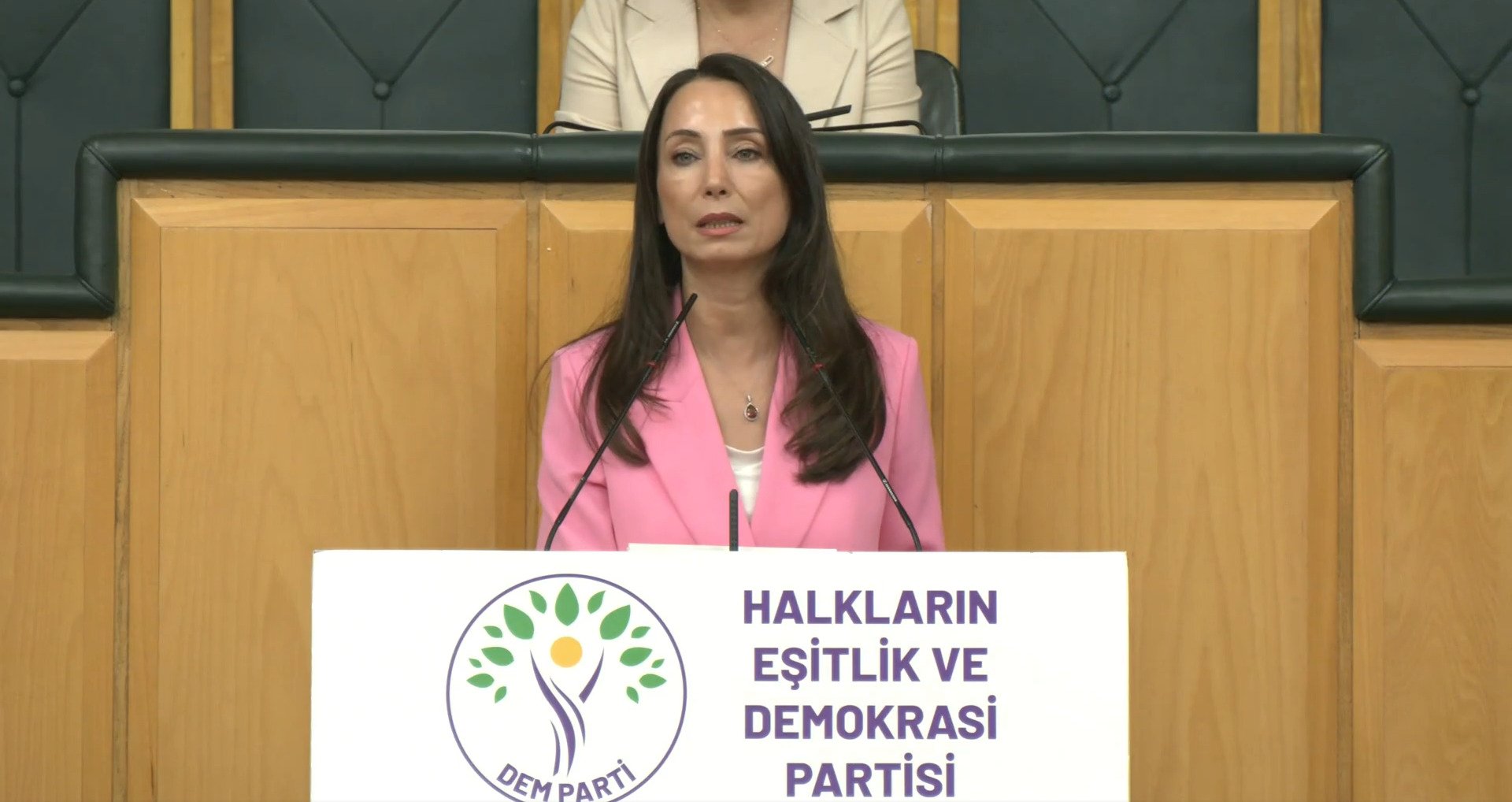 DEM Parti Eş Genel Başkanı