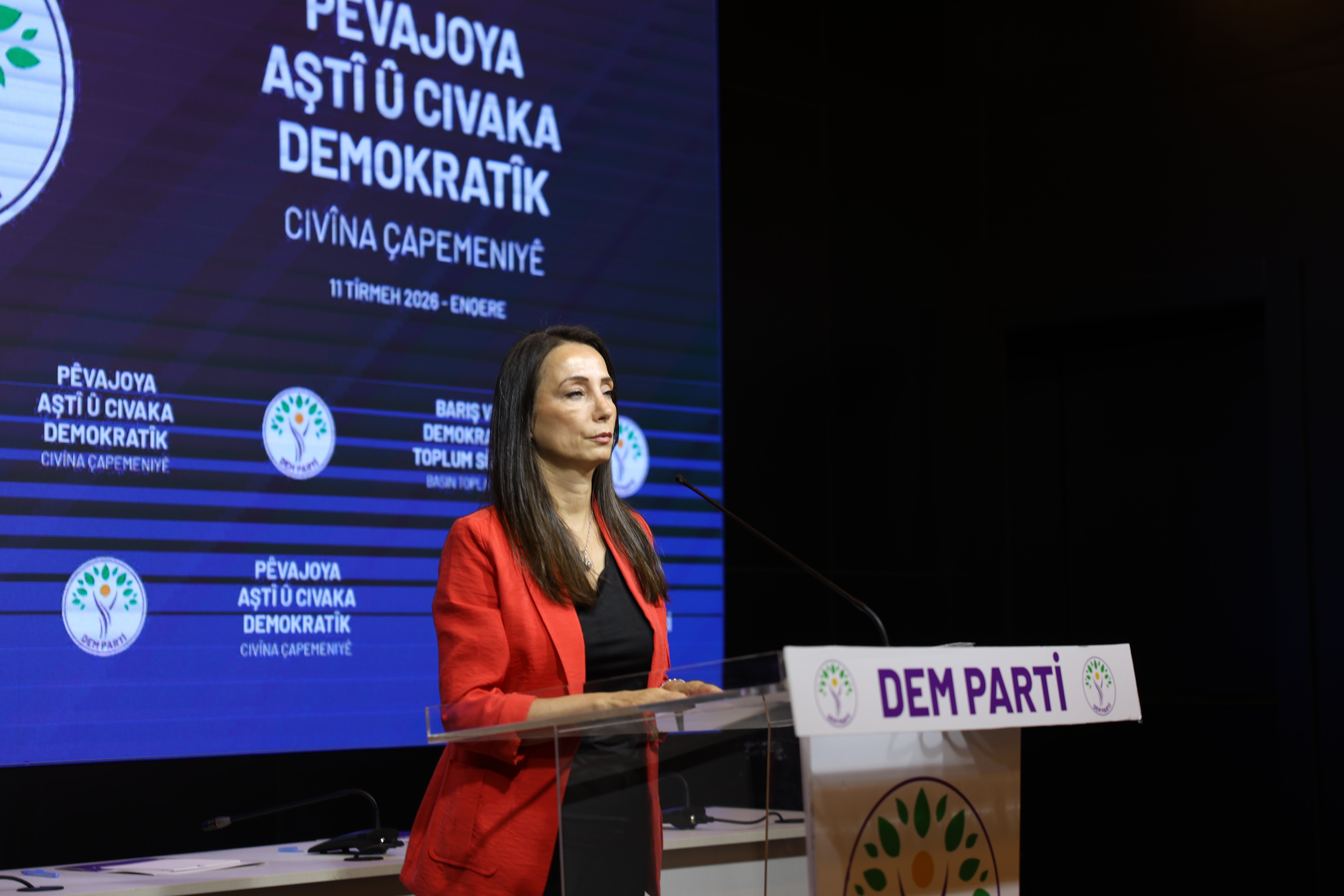 DEM Parti Eş Genel Başkanı