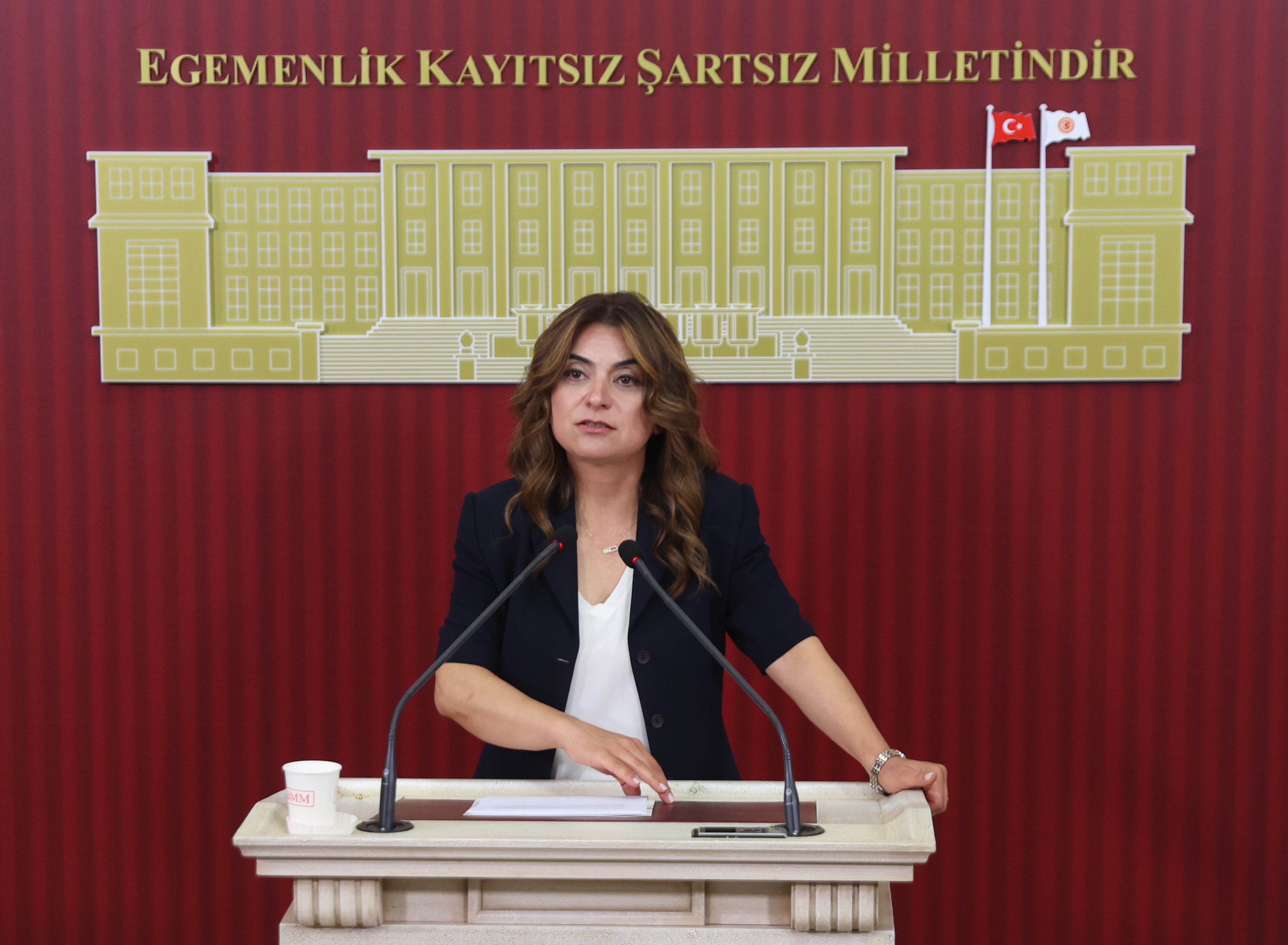 DEM Parti Grup Başkanvekili Gülistan