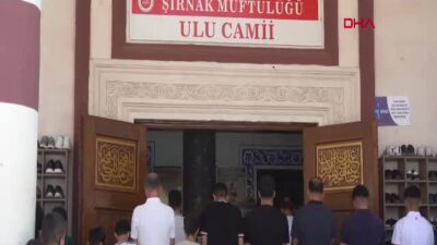 Şırnak’ta, Şehri Nuh Platformu üyeleri