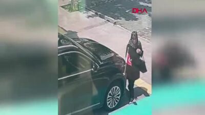 Kars'ta Neriman Öztürk, Vali Ziya