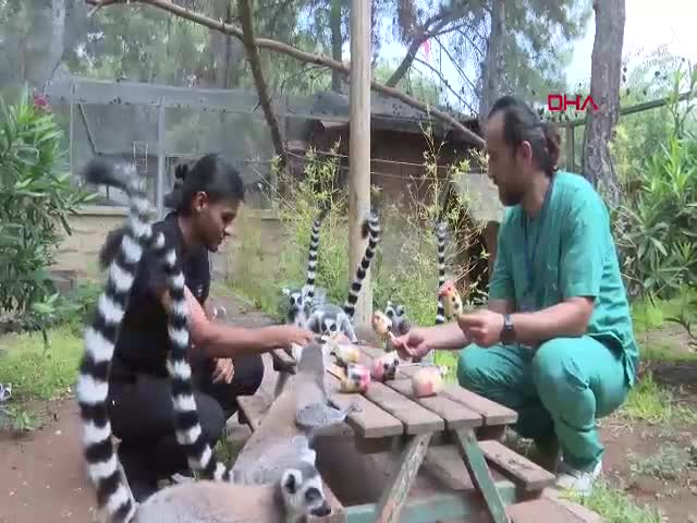Antalya Büyükşehir Belediyesi Doğal