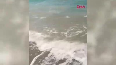 Bodrum İçmeler mevkisinde denizde görülen