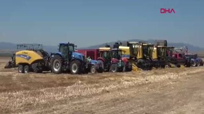 Amasya'da 2026 yılının ilk buğday