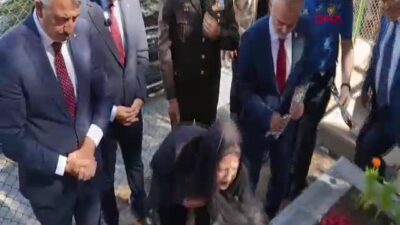 Edirne, Tekirdağ ve Kırklareli'de 15