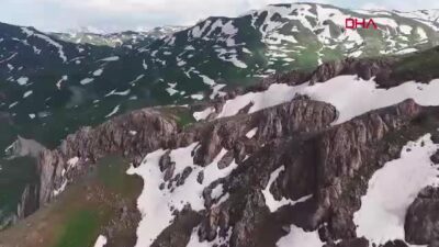 Van YYÜ'de yürütülen projede Norduz
