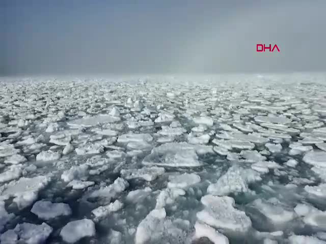 Türk bilim insanları, Kuzey
