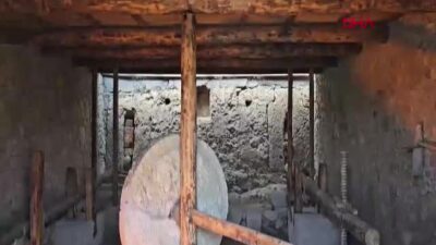 Kültür ve Turizm Bakanı Mehmet