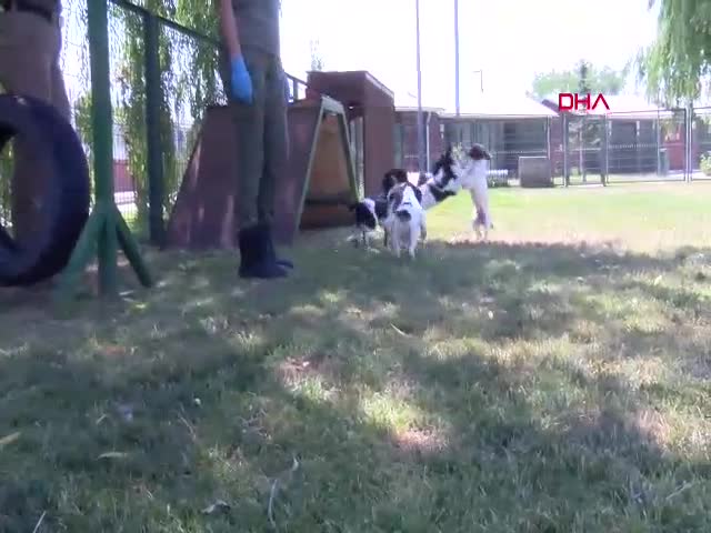 Ticaret Bakanlığı’ndan Özel Yetiştirme