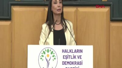 DEM Parti Eş Genel Başkanı