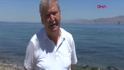 TÜBA Üyesi Prof. Dr. Doğan