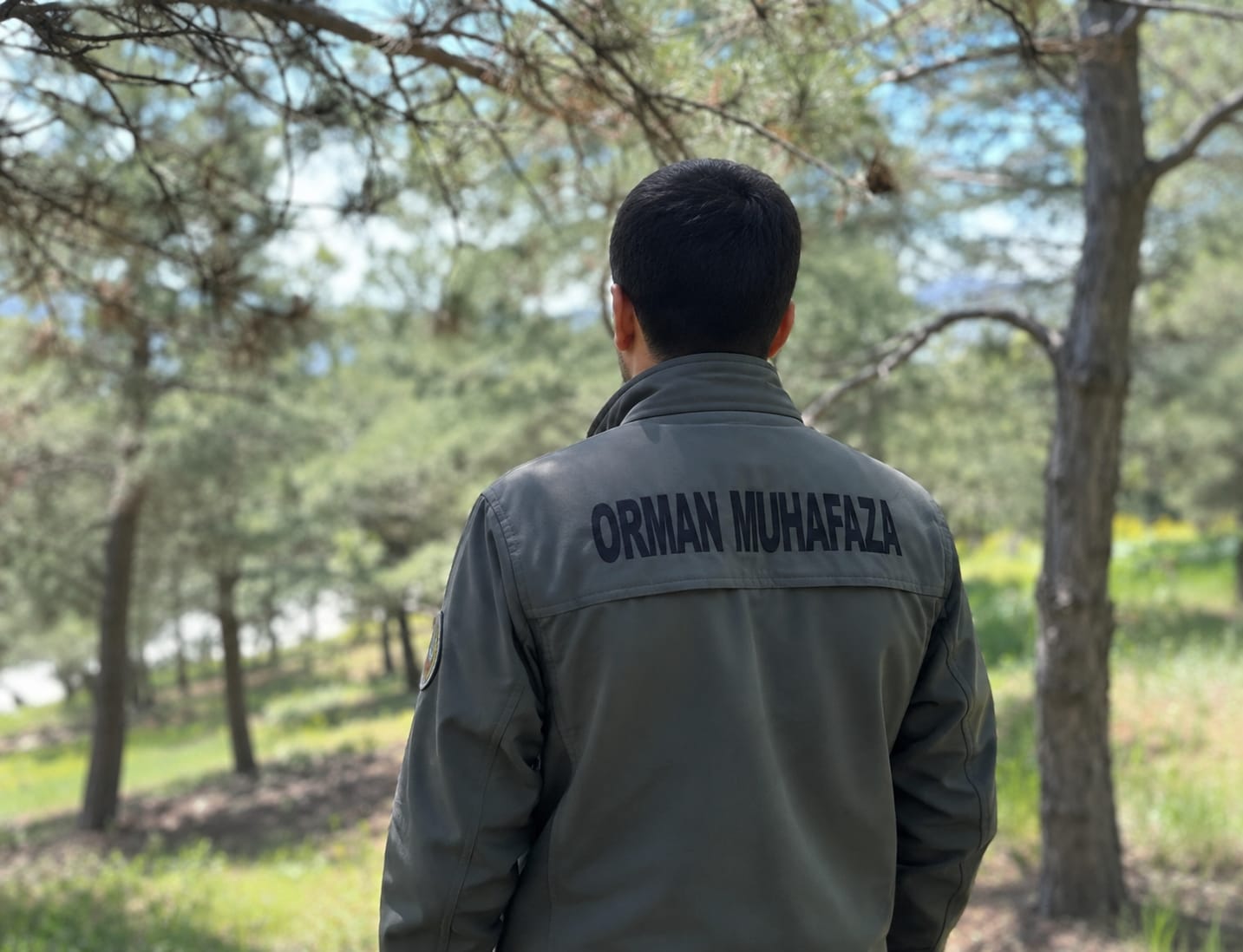 Kamu Denetçiliği Kurumu (KDK), Tip
