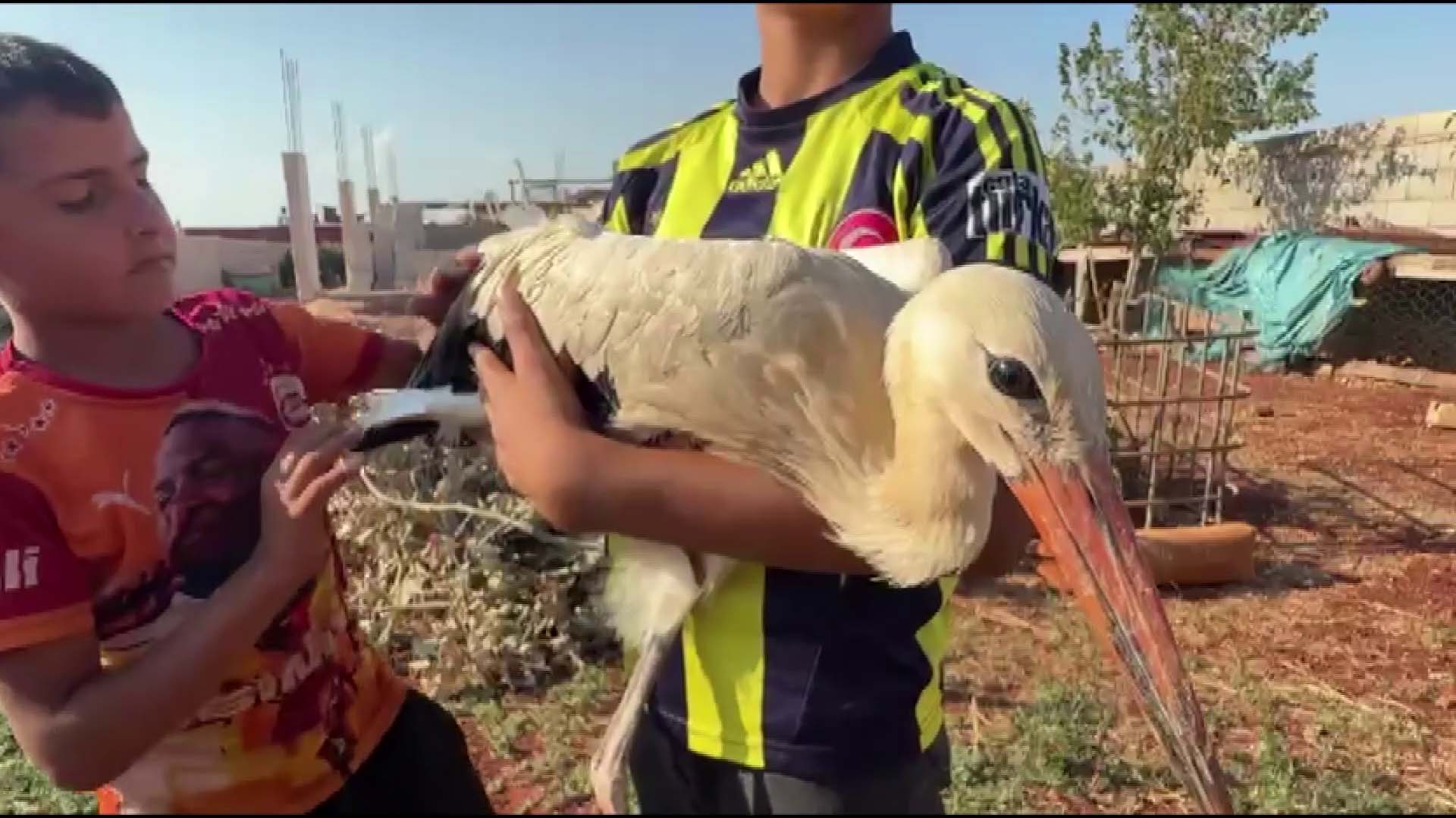 Hatay'da göç yolunda yorgun