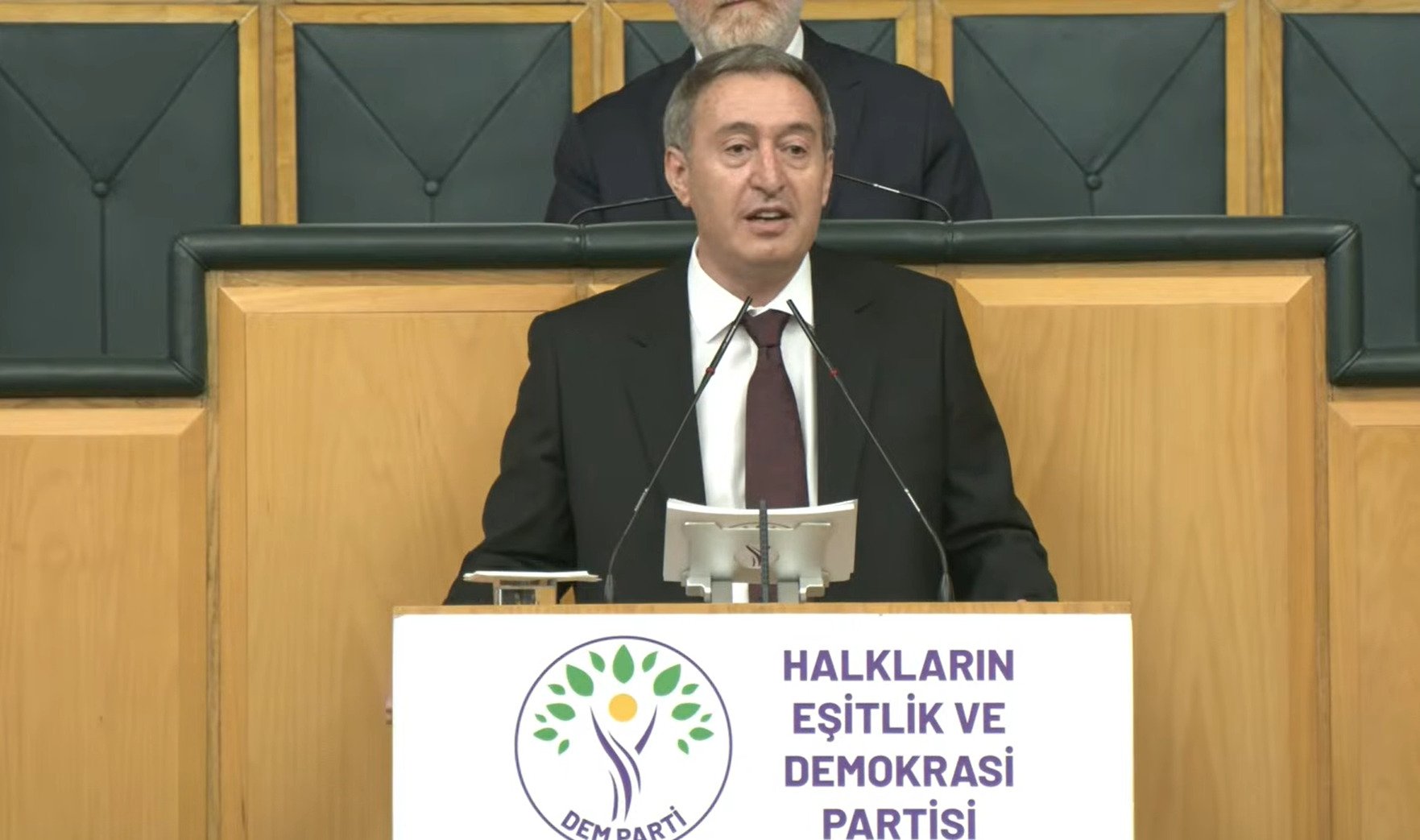 DEM Parti Eş Genel Başkanı