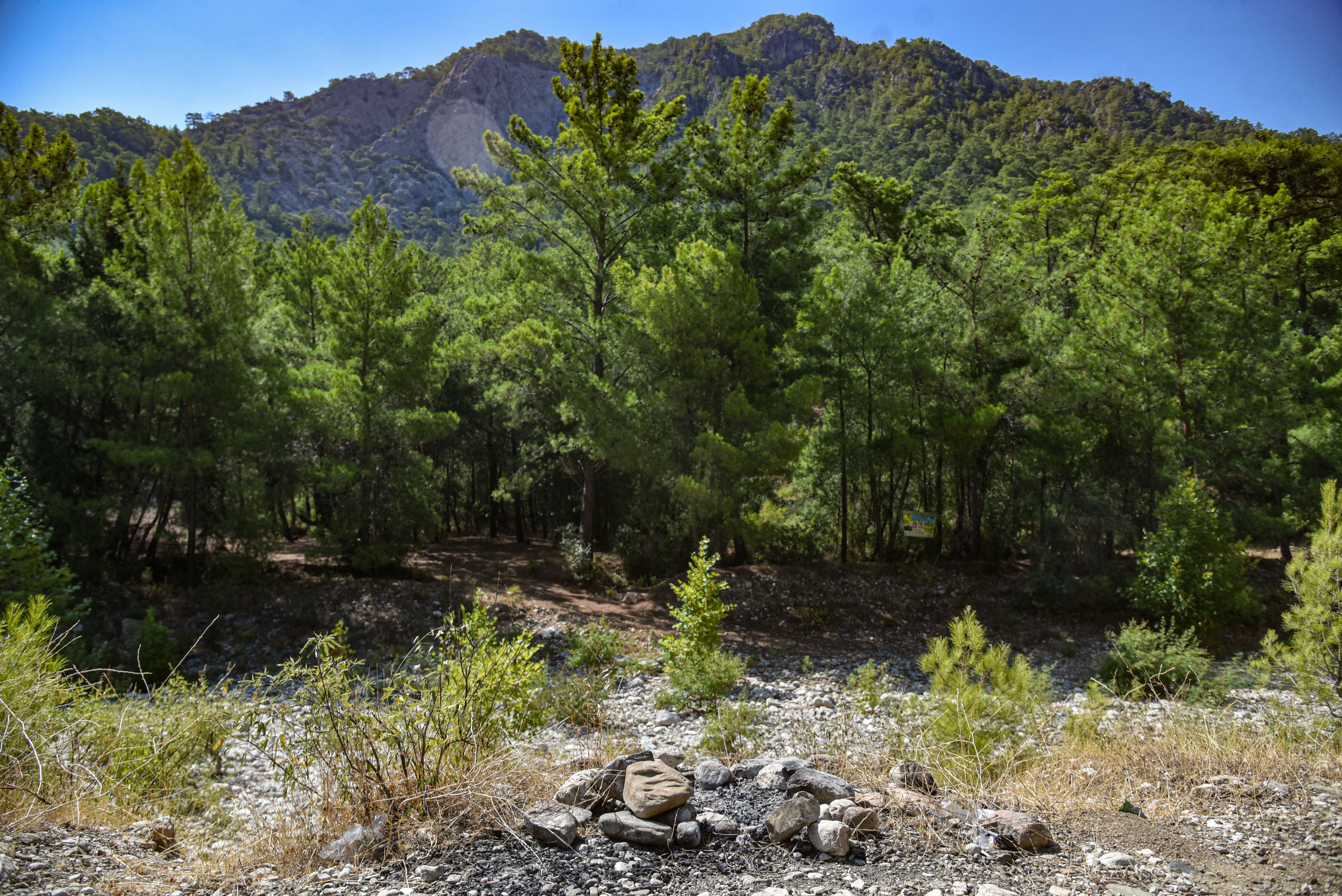 Antalya'da orman yangını tehlikesine rağmen