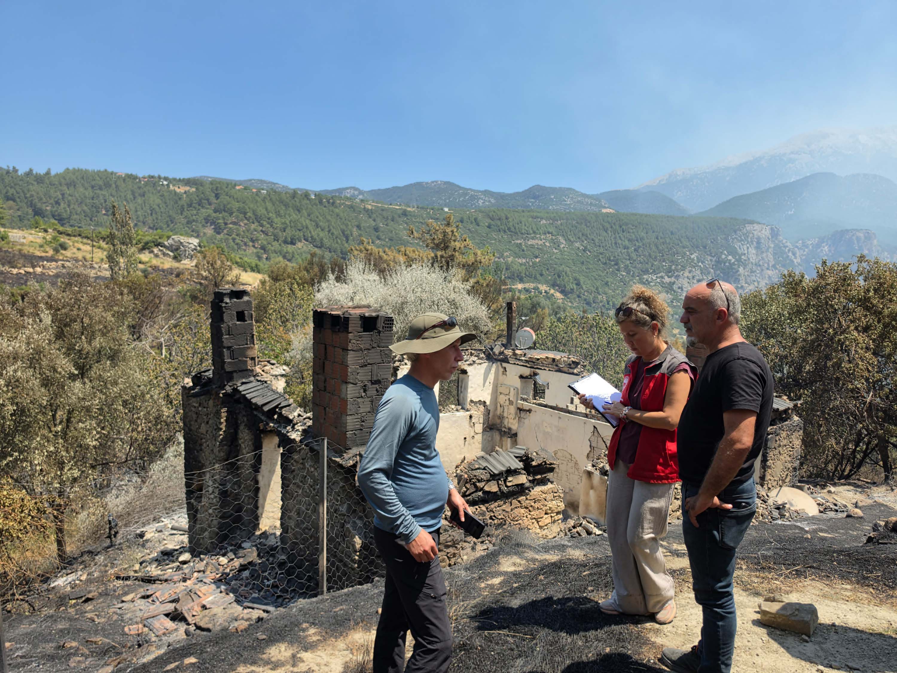 Muğla'da orman yangınlarından etkilenen üreticiler