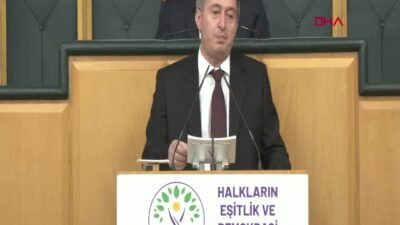 DEM Parti Eş Genel Başkanı