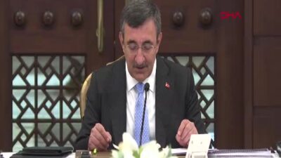 Cumhurbaşkanı Yardımcısı Cevdet Yılmaz, Nüfus