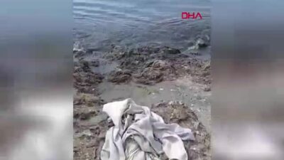 Çevre, Şehircilik ve İklim Değişikliği