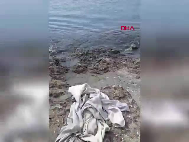 İSKİ’ye Ambarlı’da denize kanalizasyon atığı döküldüğü gerekçesiyle 8 milyon lira ceza