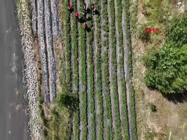 Ağrı'nın Eleşkirt ilçesinde hobi