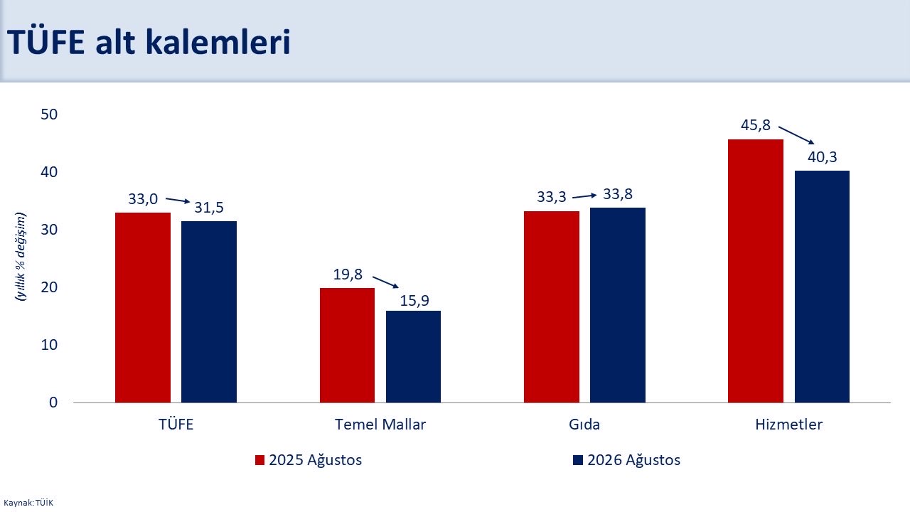 Hazine ve Maliye Bakanı Mehmet