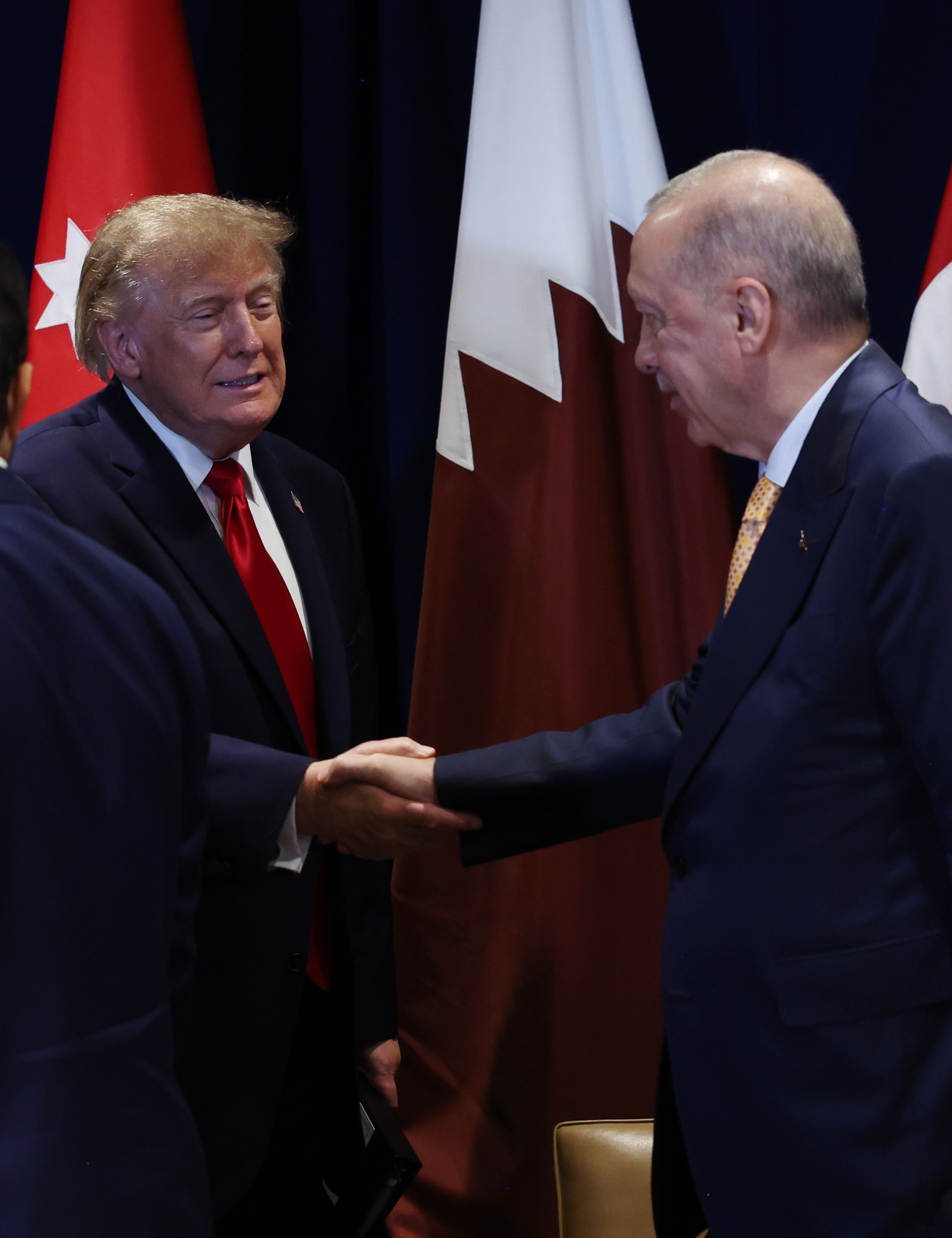 Cumhurbaşkanı Recep Tayyip Erdoğan, New