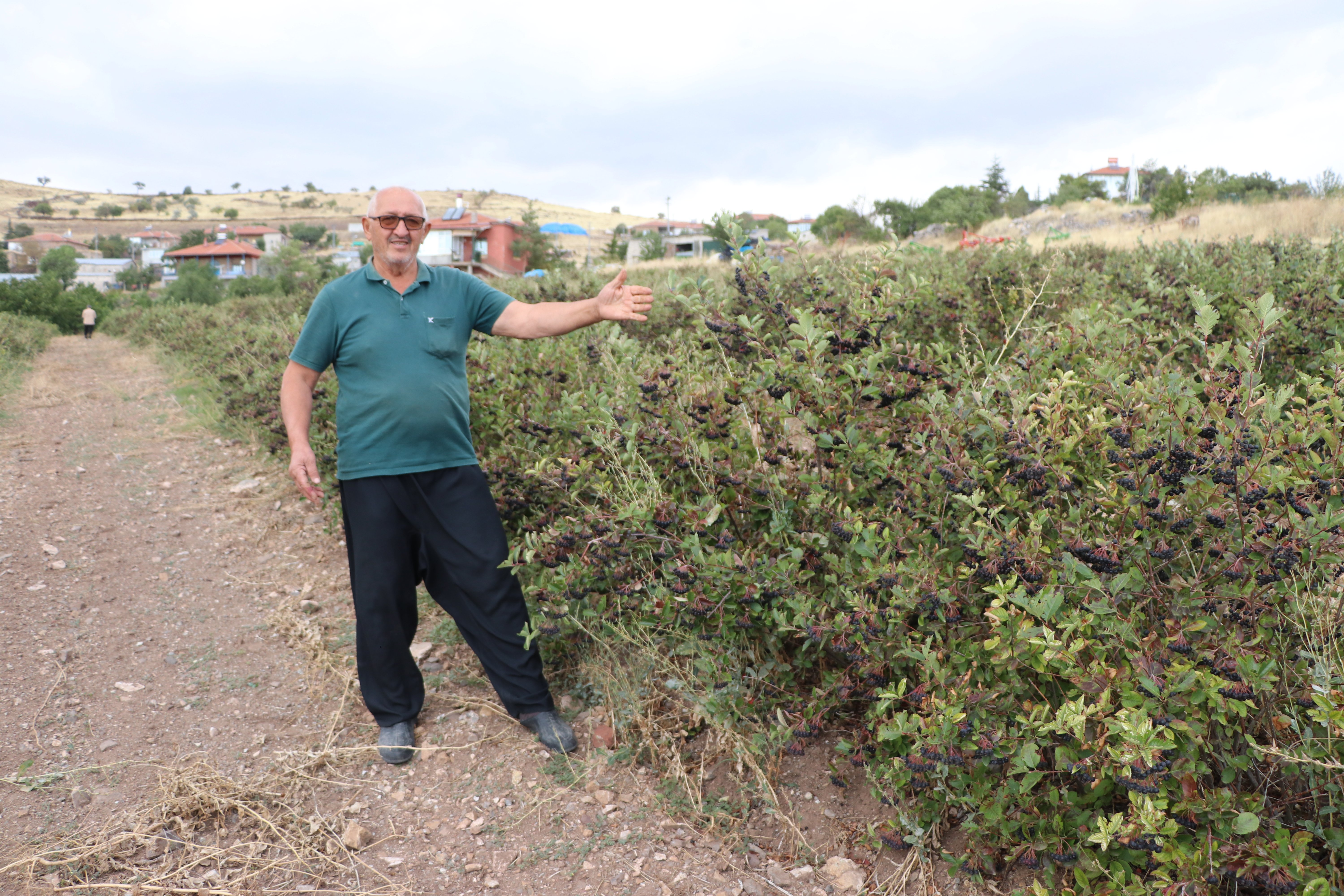 Kayseri'de Bahri Erbay, kardeşinin tavsiyesiyle