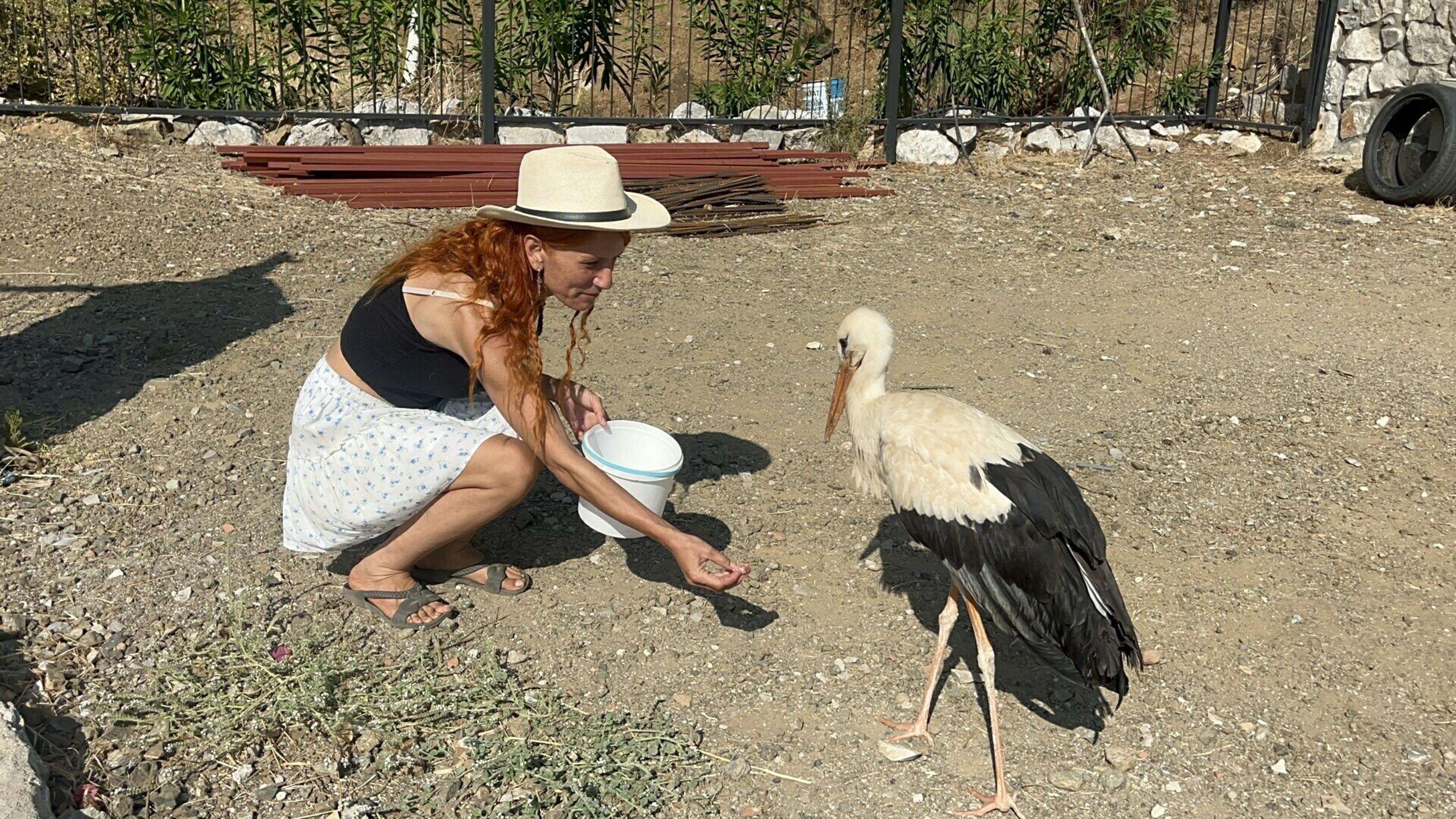 Muğla'nın Fethiye ilçesinde bir sitenin
