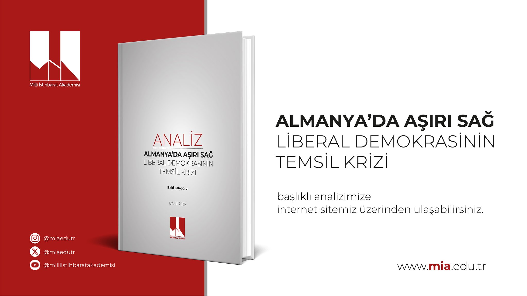 Milli İstihbarat Akademisi, Almanya'da aşırı