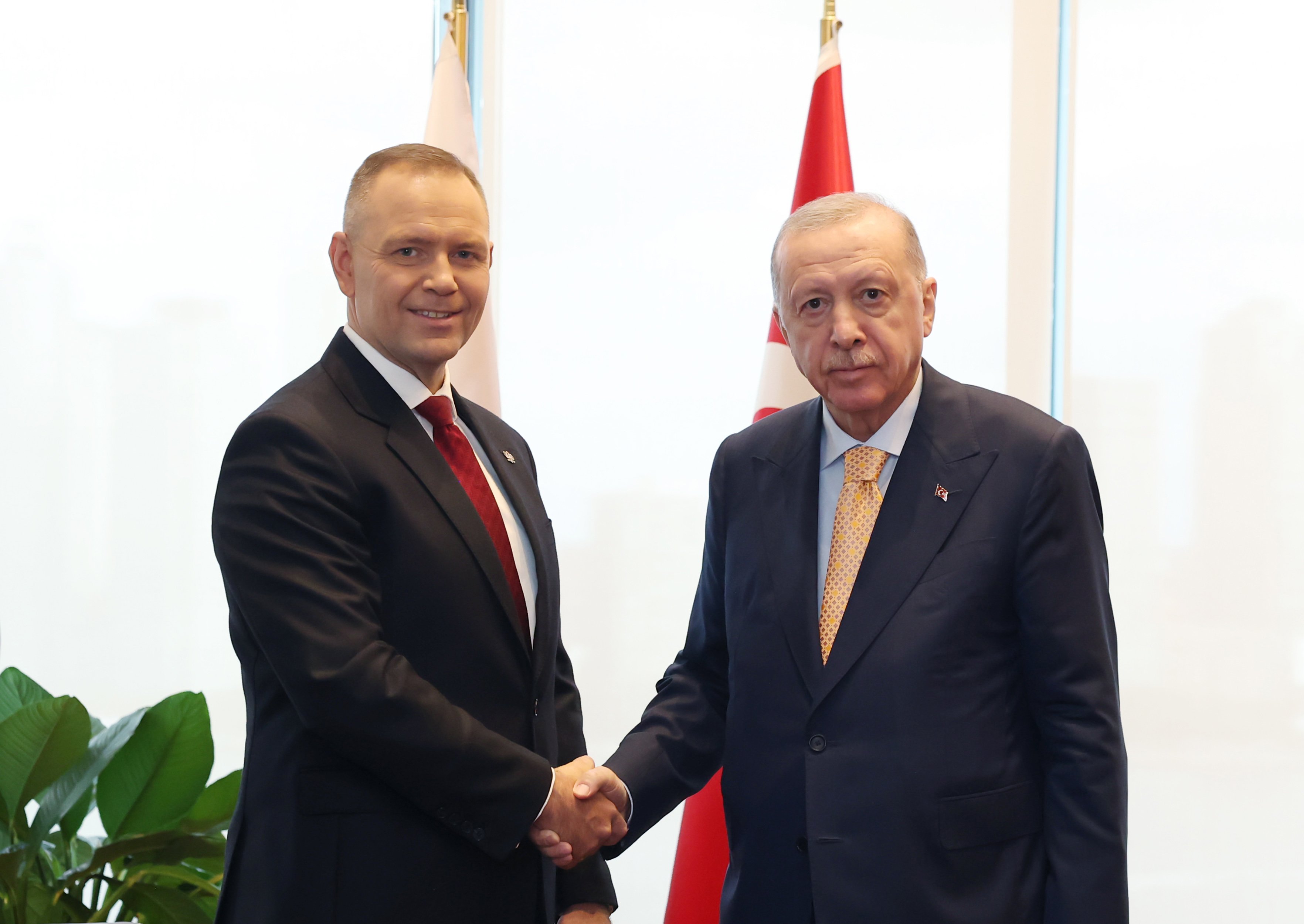 Cumhurbaşkanı Recep Tayyip Erdoğan, BM