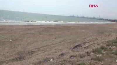 Çevre Mühendisleri Odası Mersin Şubesi