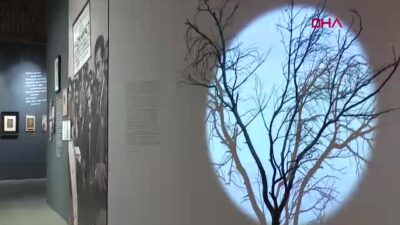 Nâzım Hikmet'in hayatını ve sanatını