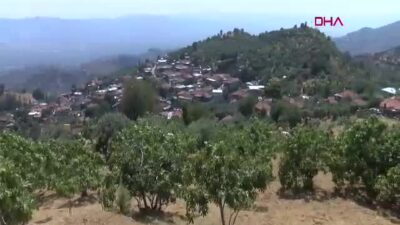 Türkiye'nin ilk çift kol nakillisi
