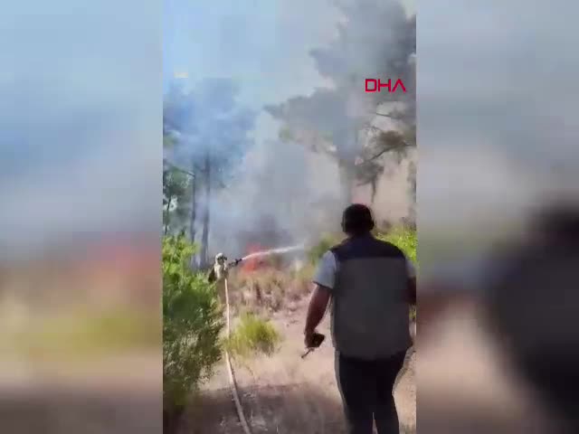 Orman Genel Müdürlüğü, Adana'nın